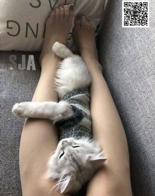 xxxx中国在线观看免费a片_BD在线视频观看